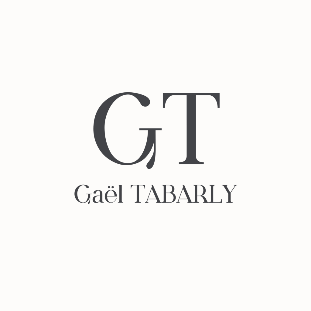 gt logo1 fond